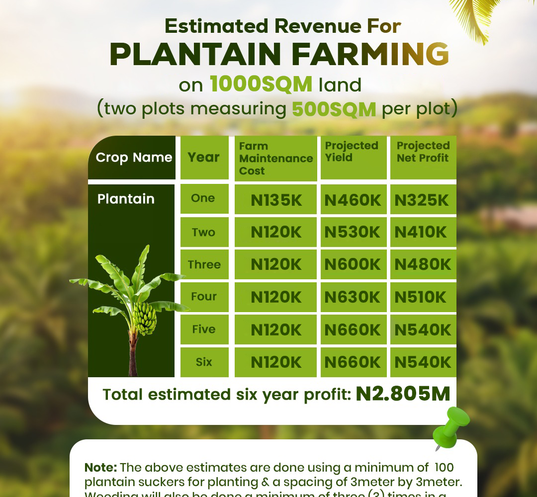1000 Sqm Plaintain