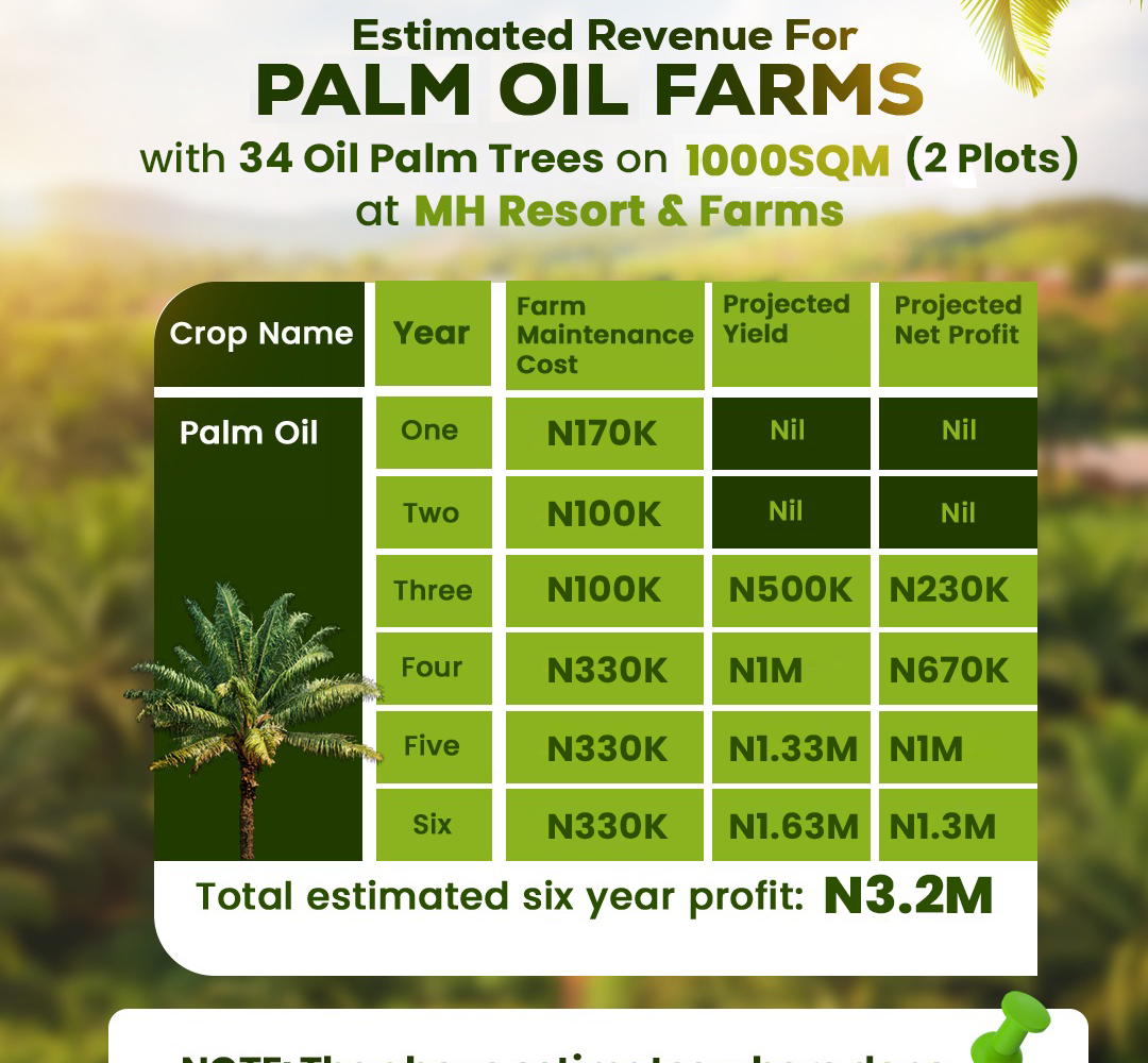 1000 Sqm Palm Oil
