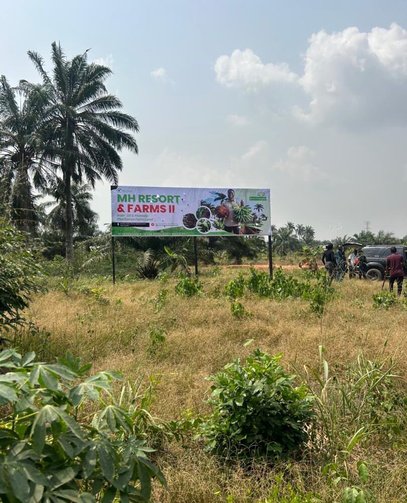 WhatsApp Image 2026 01 31 At 14.18.19