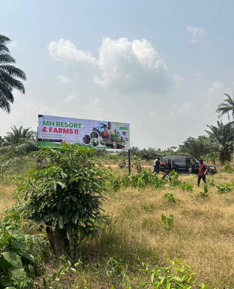 WhatsApp Image 2026 01 31 At 14.18.22