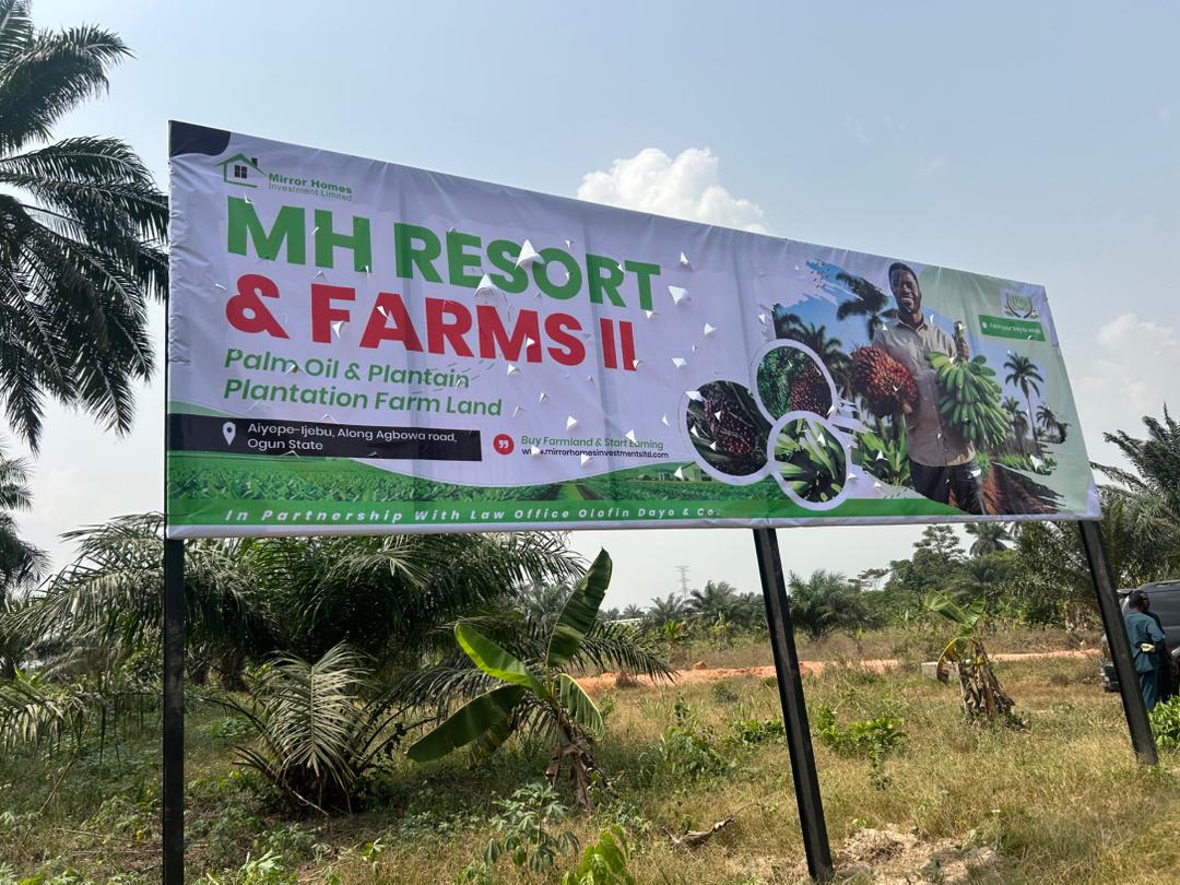 WhatsApp Image 2026 01 31 At 14.18.27