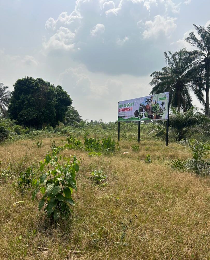 WhatsApp Image 2026 01 31 At 14.18.32